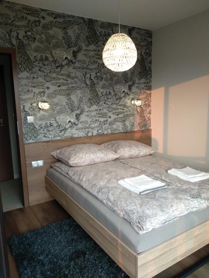 Apartament Zoom فروتسواف المظهر الخارجي الصورة